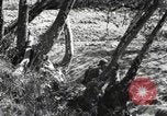 Standbild Marine Corps Pacific Theater, 1944, aus Sekunde 32 historischem Filmmaterial Videoclip 65675060324