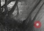 Standbild Marine Corps Pacific Theater, 1944, aus Sekunde 34 historischem Filmmaterial Videoclip 65675060324