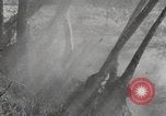 Standbild Marine Corps Pacific Theater, 1944, aus Sekunde 35 historischem Filmmaterial Videoclip 65675060324