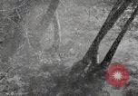 Standbild Marine Corps Pacific Theater, 1944, aus Sekunde 36 historischem Filmmaterial Videoclip 65675060324
