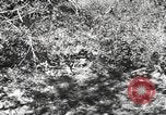 Standbild Marine Corps Pacific Theater, 1944, aus Sekunde 38 historischem Filmmaterial Videoclip 65675060324