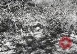 Standbild Marine Corps Pacific Theater, 1944, aus Sekunde 39 historischem Filmmaterial Videoclip 65675060324