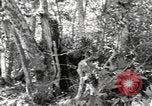 Standbild Marine Corps Pacific Theater, 1944, aus Sekunde 41 historischem Filmmaterial Videoclip 65675060324
