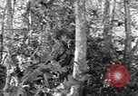 Standbild Marine Corps Pacific Theater, 1944, aus Sekunde 42 historischem Filmmaterial Videoclip 65675060324