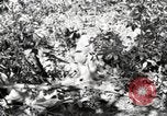 Standbild Marine Corps Pacific Theater, 1944, aus Sekunde 43 historischem Filmmaterial Videoclip 65675060324
