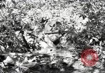 Standbild Marine Corps Pacific Theater, 1944, aus Sekunde 44 historischem Filmmaterial Videoclip 65675060324