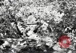 Standbild Marine Corps Pacific Theater, 1944, aus Sekunde 45 historischem Filmmaterial Videoclip 65675060324