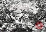 Standbild Marine Corps Pacific Theater, 1944, aus Sekunde 48 historischem Filmmaterial Videoclip 65675060324
