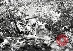 Standbild Marine Corps Pacific Theater, 1944, aus Sekunde 49 historischem Filmmaterial Videoclip 65675060324