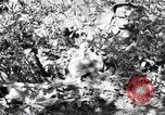 Standbild Marine Corps Pacific Theater, 1944, aus Sekunde 50 historischem Filmmaterial Videoclip 65675060324