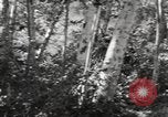 Standbild Marine Corps Pacific Theater, 1944, aus Sekunde 51 historischem Filmmaterial Videoclip 65675060324