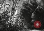 Standbild Marine Corps Pacific Theater, 1944, aus Sekunde 52 historischem Filmmaterial Videoclip 65675060324