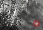 Standbild Marine Corps Pacific Theater, 1944, aus Sekunde 53 historischem Filmmaterial Videoclip 65675060324