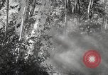 Standbild Marine Corps Pacific Theater, 1944, aus Sekunde 54 historischem Filmmaterial Videoclip 65675060324