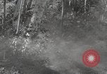 Standbild Marine Corps Pacific Theater, 1944, aus Sekunde 55 historischem Filmmaterial Videoclip 65675060324