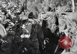 Immagine di Marine Corps Teatro pacifico, 1944, secondo 6 filmato di repertorio 65675060325