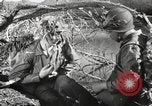 Standbild Marine Corps Pacific Theater, 1944, aus Sekunde 28 historischem Filmmaterial Videoclip 65675060326