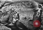 Standbild Marine Corps Pacific Theater, 1944, aus Sekunde 31 historischem Filmmaterial Videoclip 65675060326