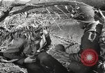 Standbild Marine Corps Pacific Theater, 1944, aus Sekunde 33 historischem Filmmaterial Videoclip 65675060326