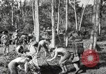 Standbild Marine Corps Pacific Theater, 1944, aus Sekunde 36 historischem Filmmaterial Videoclip 65675060326