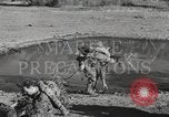 Standbild Marine Corps Pacific Theater, 1944, aus Sekunde 4 historischem Filmmaterial Videoclip 65675060327