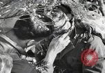 Standbild Marine Corps Pacific Theater, 1944, aus Sekunde 24 historischem Filmmaterial Videoclip 65675060327