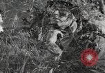 Standbild Marine Corps Pacific Theater, 1944, aus Sekunde 27 historischem Filmmaterial Videoclip 65675060327
