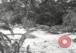 Standbild Marine Corps Pacific Theater, 1944, aus Sekunde 33 historischem Filmmaterial Videoclip 65675060327
