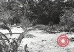 Standbild Marine Corps Pacific Theater, 1944, aus Sekunde 35 historischem Filmmaterial Videoclip 65675060327