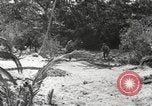 Standbild Marine Corps Pacific Theater, 1944, aus Sekunde 36 historischem Filmmaterial Videoclip 65675060327