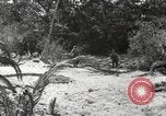 Standbild Marine Corps Pacific Theater, 1944, aus Sekunde 37 historischem Filmmaterial Videoclip 65675060327
