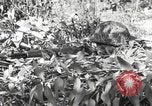Standbild Marine Corps Pacific Theater, 1944, aus Sekunde 47 historischem Filmmaterial Videoclip 65675060327
