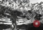 Standbild Marine Corps Pacific Theater, 1944, aus Sekunde 60 historischem Filmmaterial Videoclip 65675060327