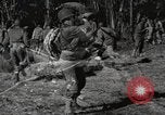 Standbild Marine Corps Pacific Theater, 1944, aus Sekunde 1 historischem Filmmaterial Videoclip 65675060328