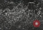 Standbild Marine Corps Pacific Theater, 1944, aus Sekunde 41 historischem Filmmaterial Videoclip 65675060328