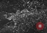 Standbild Marine Corps Pacific Theater, 1944, aus Sekunde 46 historischem Filmmaterial Videoclip 65675060328