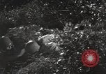 Standbild Marine Corps Pacific Theater, 1944, aus Sekunde 47 historischem Filmmaterial Videoclip 65675060328