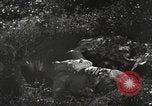 Standbild Marine Corps Pacific Theater, 1944, aus Sekunde 49 historischem Filmmaterial Videoclip 65675060328