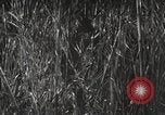 Image of Marine Corps Pacific Theater, 1944, second 4 stock footage video 65675060329