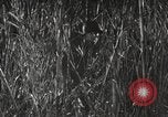 Image of Marine Corps Pacific Theater, 1944, second 5 stock footage video 65675060329