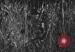 Image of Marine Corps Pacific Theater, 1944, second 7 stock footage video 65675060329