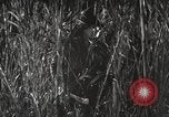 Image of Marine Corps Pacific Theater, 1944, second 8 stock footage video 65675060329