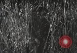 Image of Marine Corps Pacific Theater, 1944, second 10 stock footage video 65675060329