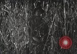 Image of Marine Corps Pacific Theater, 1944, second 11 stock footage video 65675060329