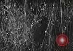 Image of Marine Corps Pacific Theater, 1944, second 12 stock footage video 65675060329