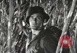 Image of Marine Corps Pacific Theater, 1944, second 13 stock footage video 65675060329