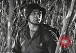 Image of Marine Corps Pacific Theater, 1944, second 14 stock footage video 65675060329