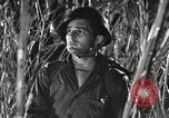 Image of Marine Corps Pacific Theater, 1944, second 15 stock footage video 65675060329