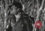 Image of Marine Corps Pacific Theater, 1944, second 16 stock footage video 65675060329