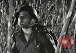 Image of Marine Corps Pacific Theater, 1944, second 17 stock footage video 65675060329
